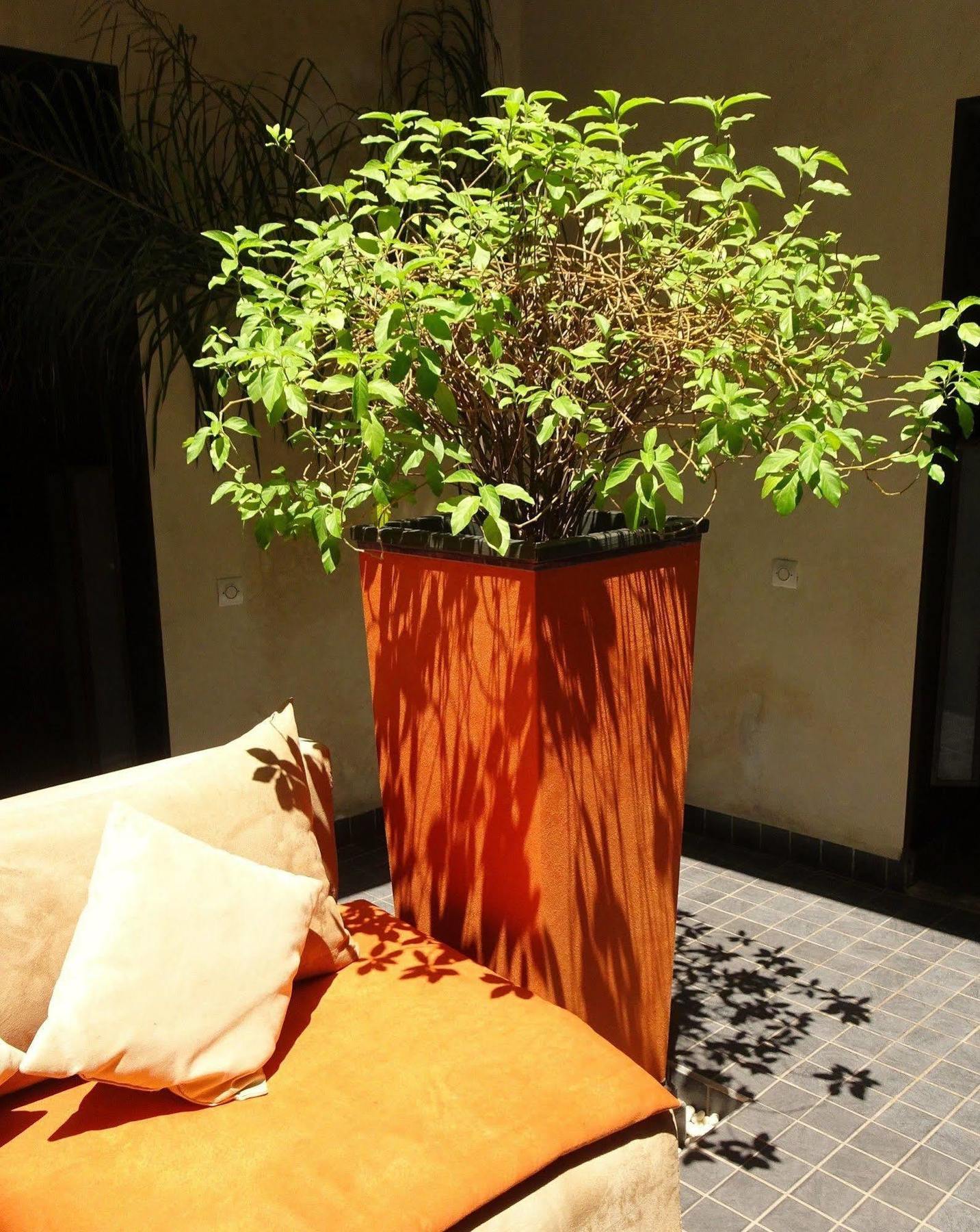Riad Pierres Et Saveurs Soleil Marrákes Kültér fotó