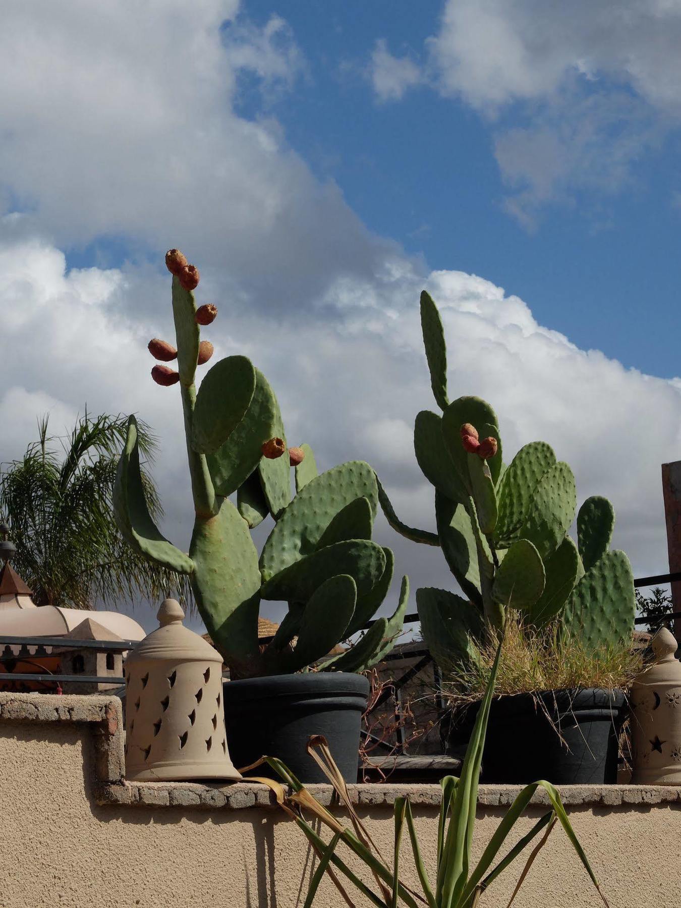 Riad Pierres Et Saveurs Soleil Marrákes Kültér fotó